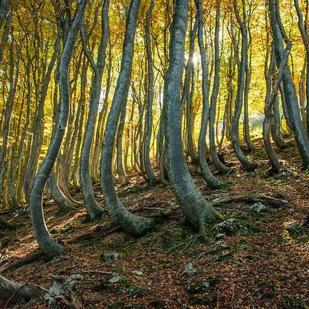 Locanda Della Rocca サルナーノ エクステリア 写真