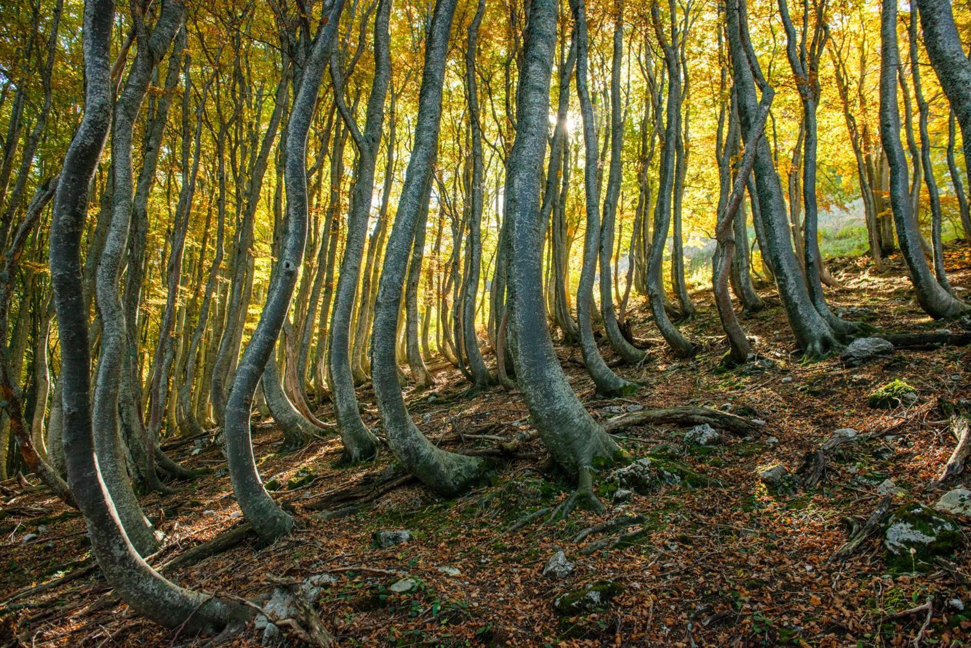 Locanda Della Rocca サルナーノ エクステリア 写真