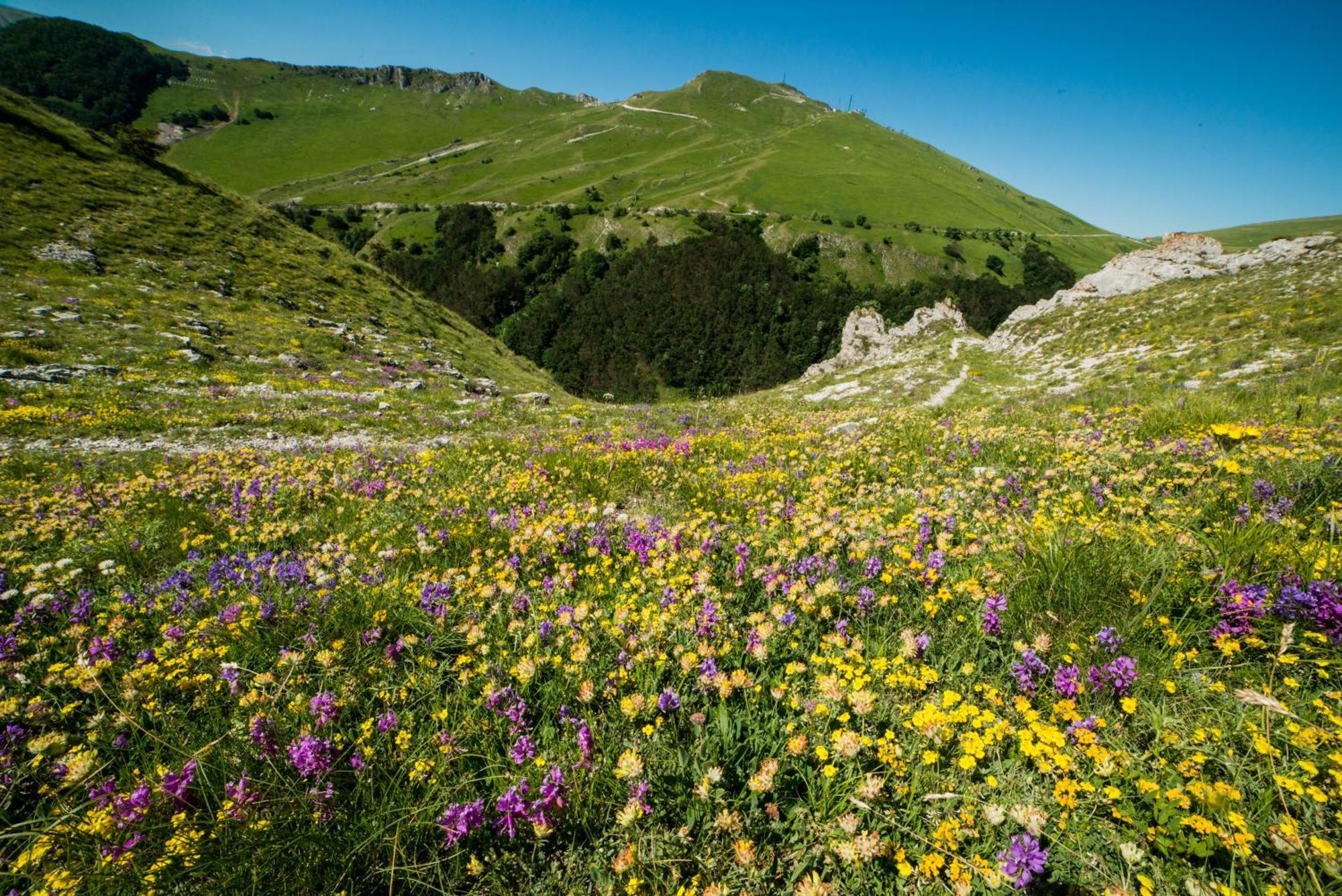 Locanda Della Rocca サルナーノ エクステリア 写真